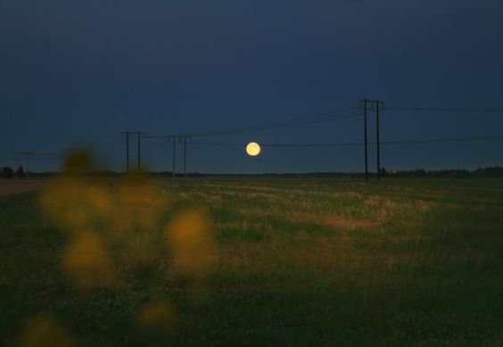 Фото Анна Аден: Сила лета (62 фото) из раздела  /