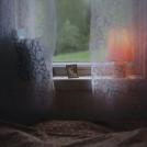 Фото Анна Аден: Сила лета (62 фото) из раздела  /