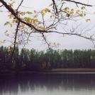 Фото Анна Аден: Сила лета (62 фото) из раздела  /