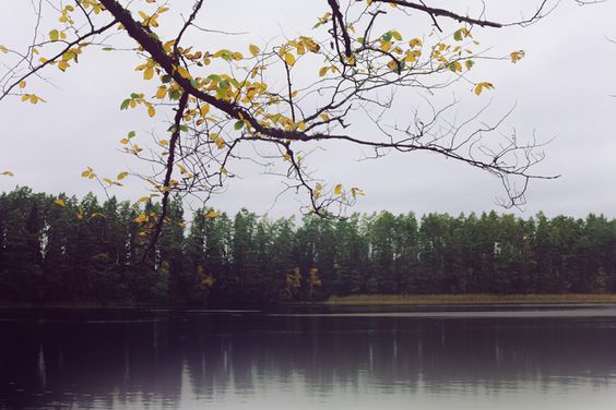 Фото Анна Аден: Сила лета (62 фото) из раздела  /