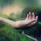 Фото Анна Аден: Сила лета (62 фото) из раздела  /