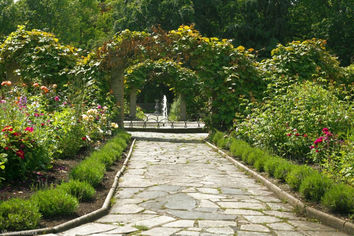 Фото Дом шириной 3 метра продают за $1000000 (6 фото) из раздела  /