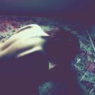 Фото Ким Акригг: фэйшн фотограф из Торонто  (56 фото) из раздела  /