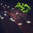 Фото Ким Акригг: фэйшн фотограф из Торонто  (56 фото) из раздела  /