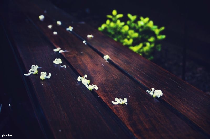 Фото Ким Акригг: фэйшн фотограф из Торонто  (56 фото) из раздела  /