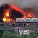 Фото Сильнейшие пожары в Португалии из раздела  /