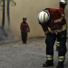 Фото Сильнейшие пожары в Португалии из раздела  /