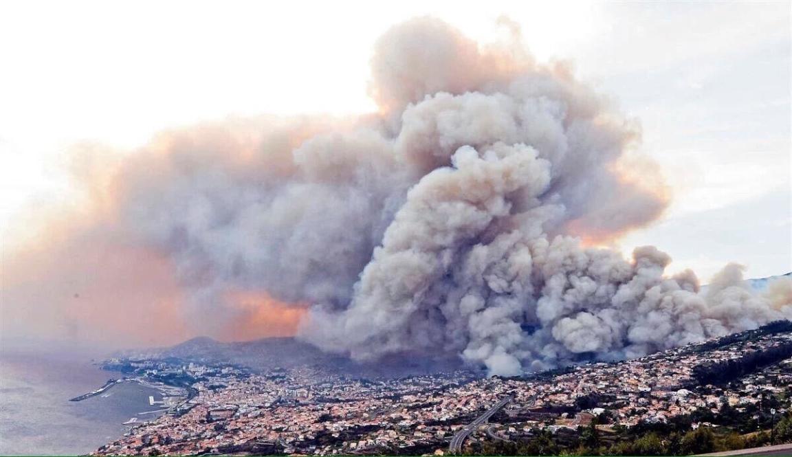 Фото Сильнейшие пожары в Португалии из раздела  /