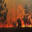 Фото Сильнейшие пожары в Португалии из раздела  /