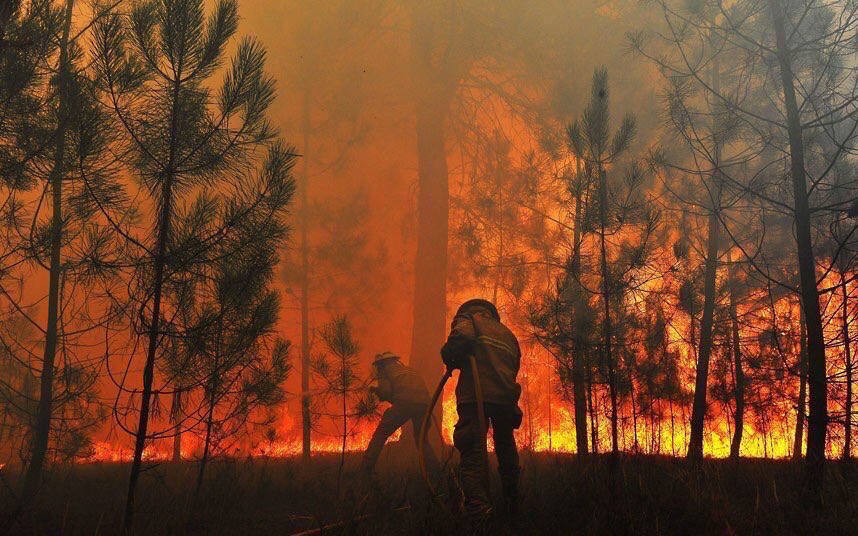 Фото Сильнейшие пожары в Португалии из раздела  /