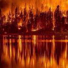 Фото Сильнейшие пожары в Португалии из раздела  /