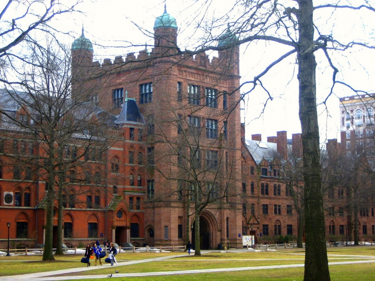 Фото Факт: любители чтения живут дольше из раздела  /