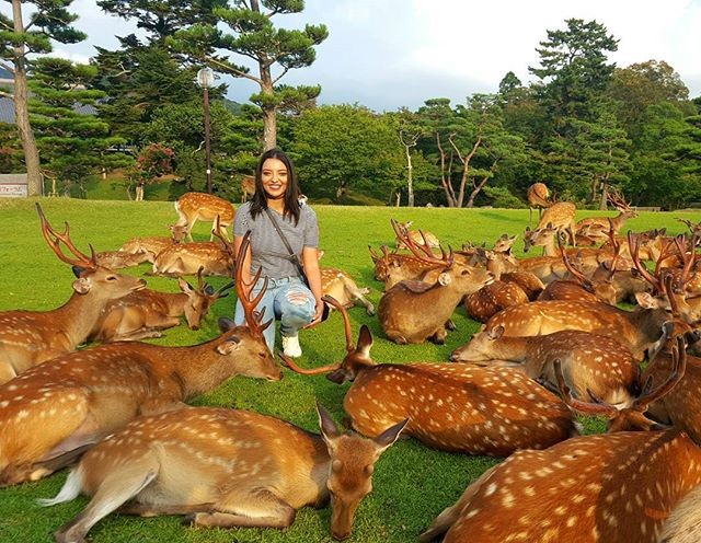 Фото Девушка из ОАЭ ушла с работы ради путешествий из раздела  /