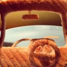 Фото Отец создает скульптуры из хлеба для дочери (14 фото) из раздела  /