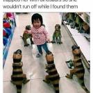 Фото  из раздела  /