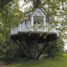Фото Оригинальные домики на деревьях (10 фото) из раздела  /