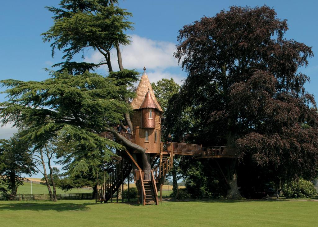 Фото Оригинальные домики на деревьях (10 фото) из раздела  /