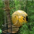 Фото Оригинальные домики на деревьях (10 фото) из раздела  /