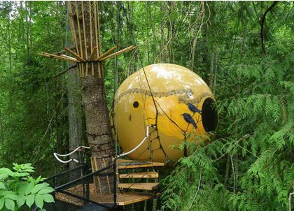 Фото Оригинальные домики на деревьях (10 фото) из раздела  /