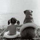 Фото Дети и собаки купаются вместе (позитивная подборка из 19 фото) из раздела /