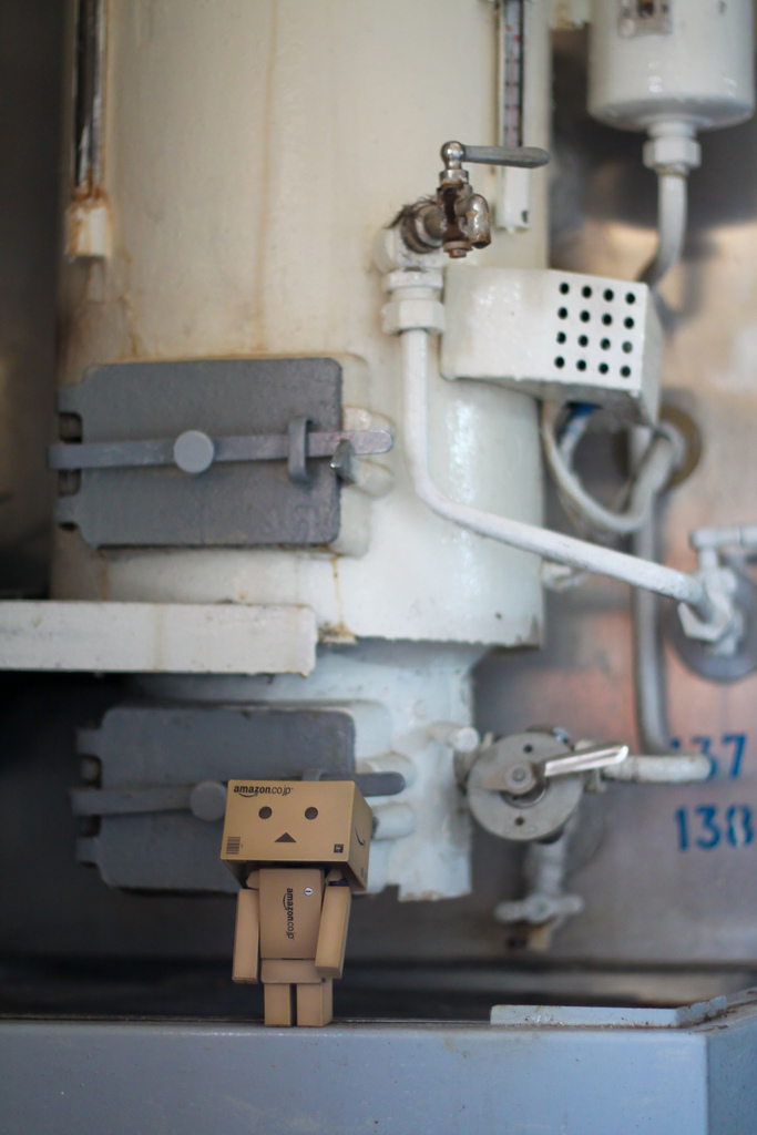 Фото Третье путешествие человечка из картонных коробок по России (39  фото) из раздела  /