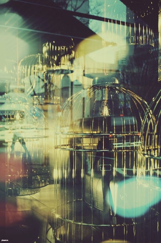 Двойная экспозиция