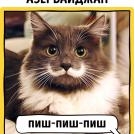 Фото Как в разных странах мира подзывают кошек из раздела  /