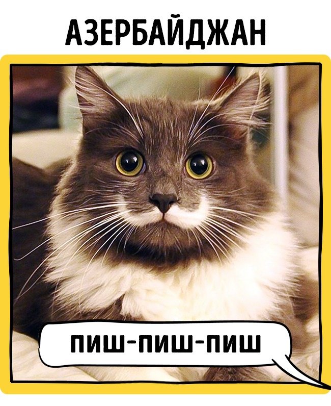 Фото Как в разных странах мира подзывают кошек из раздела /