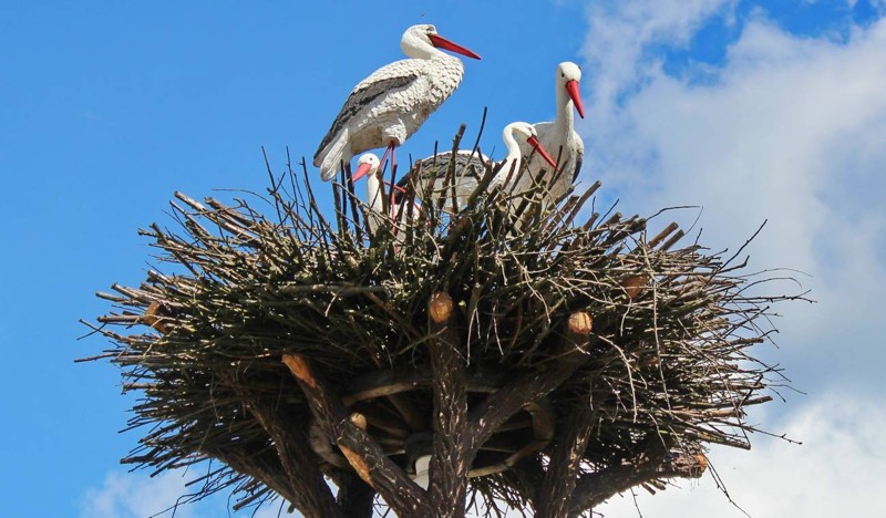 Фото В Брянске построено Тридевятое царство (10 фото) из раздела  /