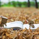 Фото Путешествие картонного человечка Данбо по России (24 фото) из раздела  /