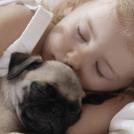 Фото Подборка из 21 милых фото: Спящие дети и собаки. Ми-ми-ми... из раздела  /