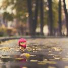 Фото Путешествие картонного человечка Данбо по России (24 фото) из раздела  /