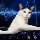 Фото Фотожабы на странного котейку из раздела  /