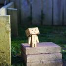 Фото Приключения человечка из картонной коробки Данбо: 131 фото из раздела /