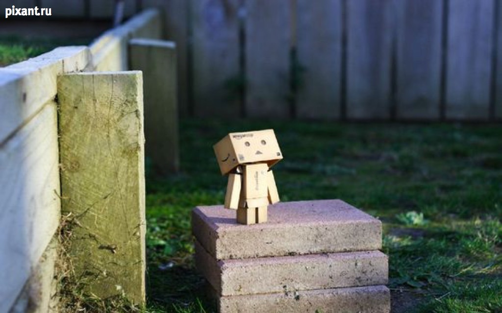 Фото Приключения человечка из картонной коробки Данбо: 131 фото из раздела  /