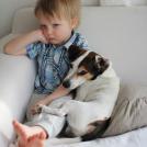 Фото Дети и собаки: лучшие друзья (подборка 20 фото) из раздела  /