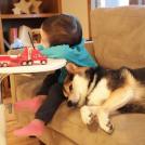 Фото Подборка из 21 милых фото: Спящие дети и собаки. Ми-ми-ми... из раздела  /