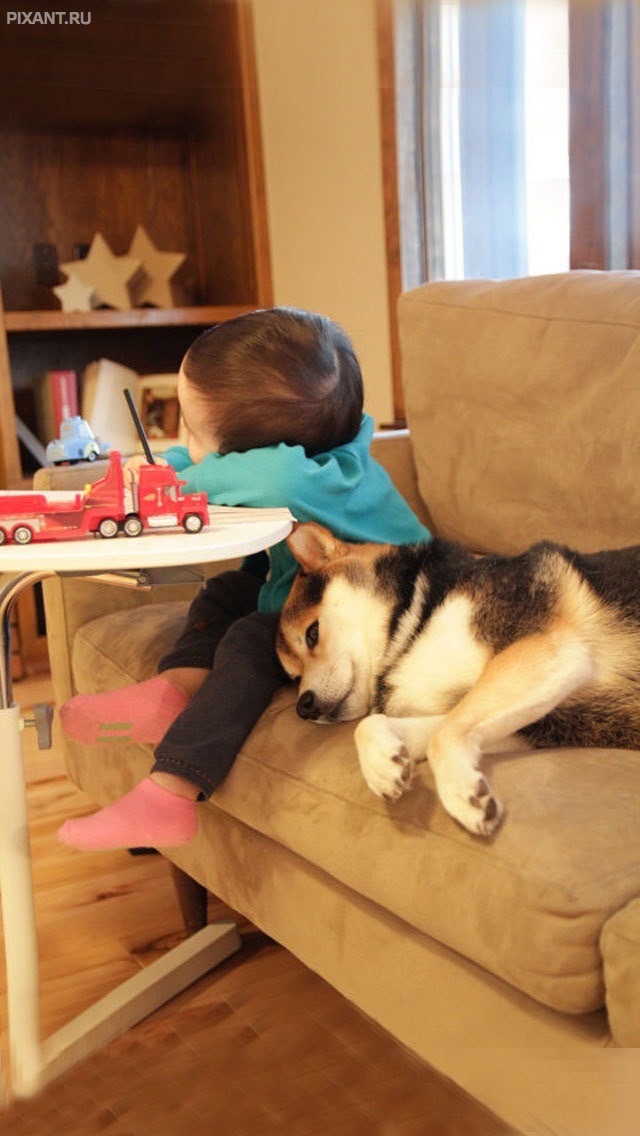 Фото Подборка из 21 милых фото: Спящие дети и собаки. Ми-ми-ми... из раздела  /