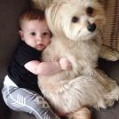 Фото Маленькие детки и собачки (подборка из 22 фото) из раздела  /