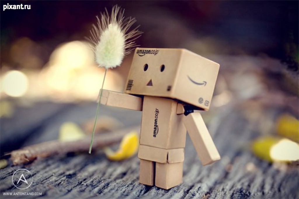 Фото Приключения человечка из картонной коробки Данбо: 131 фото из раздела /