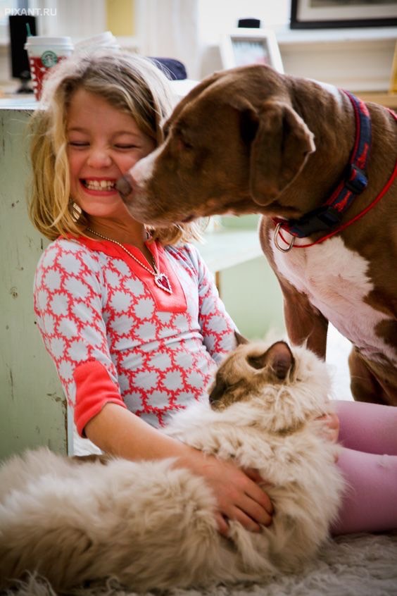 Фото Дети и собаки: лучшие друзья (подборка 20 фото) из раздела /