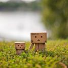 Фото Путешествие картонного человечка Данбо по России (24 фото) из раздела  /