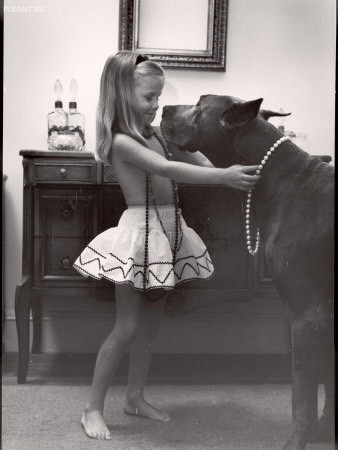 Фото Дети и собаки: лицом к лицу (чудесная подборка из 27 милых фото) из раздела  /