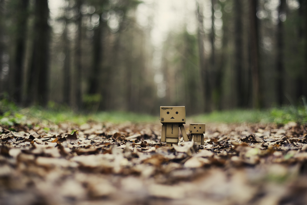 Фото Третье путешествие человечка из картонных коробок по России (39  фото) из раздела  /