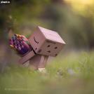 Фото Приключения человечка из картонной коробки Данбо: 131 фото из раздела  /