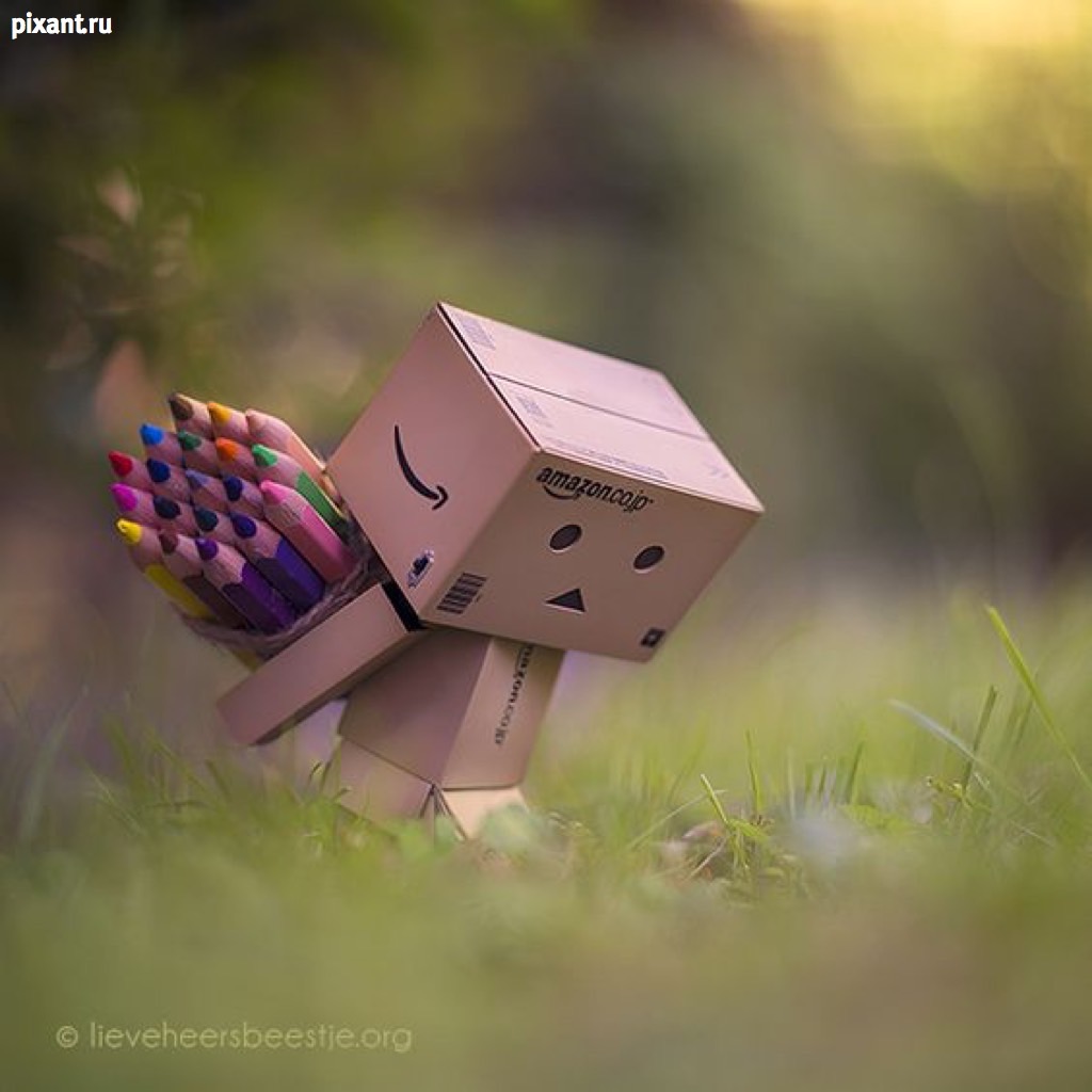 Фото Приключения человечка из картонной коробки Данбо: 131 фото из раздела  /