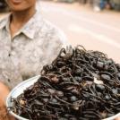 Фото Самые необычные блюда в мире (часть 1) из раздела  /