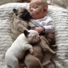 Фото Грудные дети и собаки (подборка из 35 фото) из раздела  /