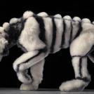 Фото Креативный фотограф Тим Флэч и его животные (46 фото) из раздела /