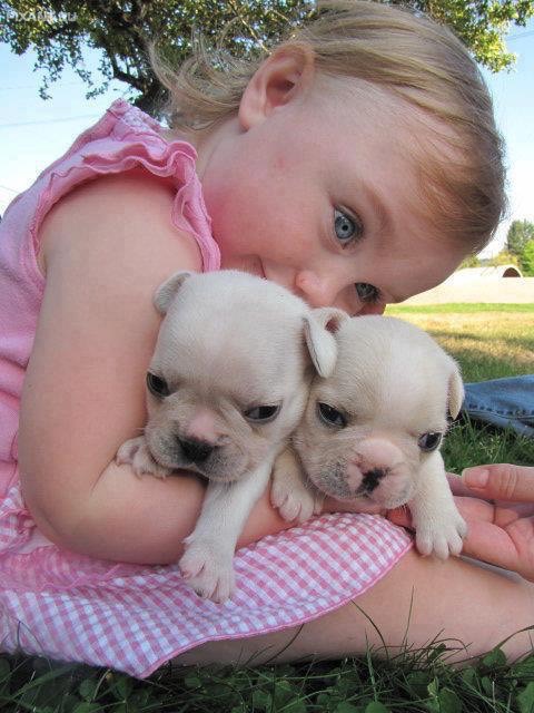 Фото Дети и собаки: обнимашки. Коллекция 51 супер милых фото из раздела  /